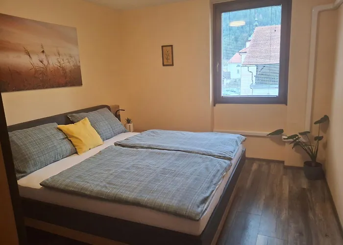Apartment Veninsek